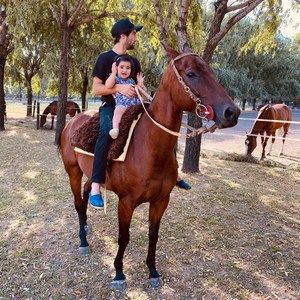 Meet your Posher, Fredes